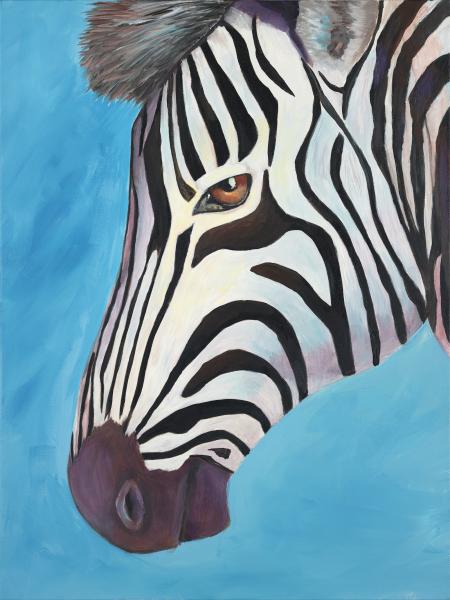 Look me in the eye - Zebra picture