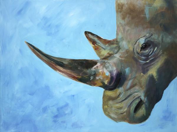 look me in the eye - rhino picture