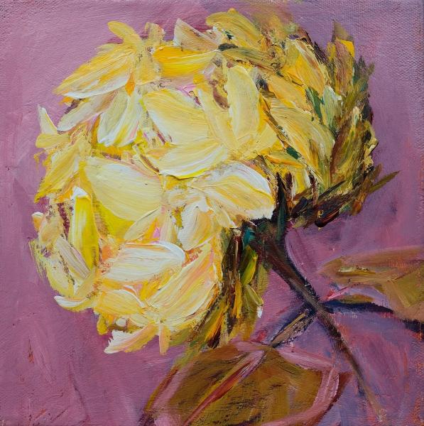 Yellow Hydrangea -8x8, 2020 SOLD