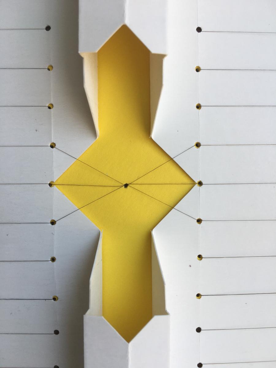 Origami Intringulis 2022 picture