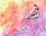 Female Cardinal I