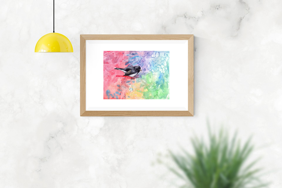 Dark-Eyed Junco picture