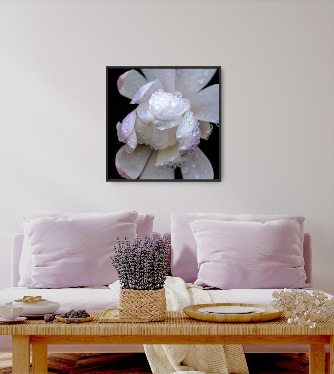 Spring Magnolia picture