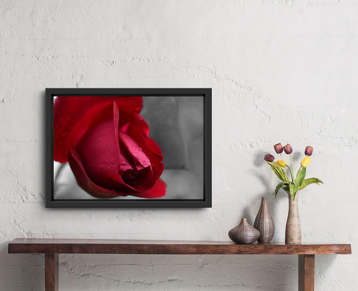 Will You Accept This... picture