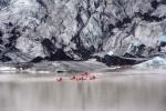 Glacier Kayaking