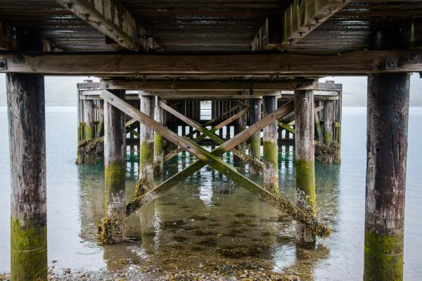 Under the Pier