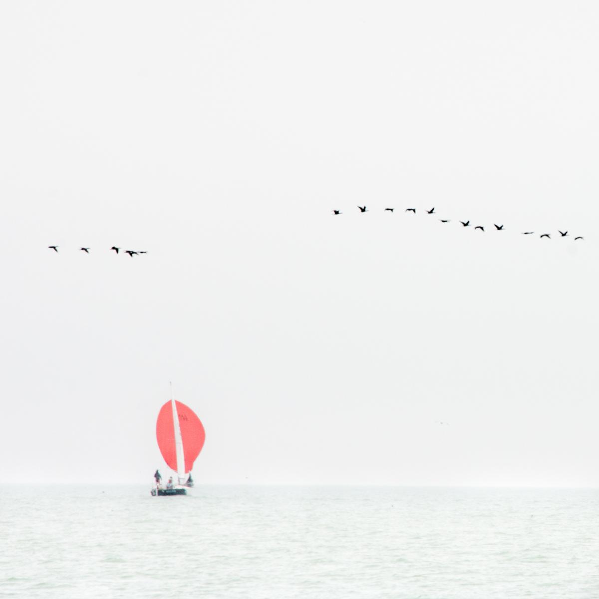 Windscapes XXXVI picture