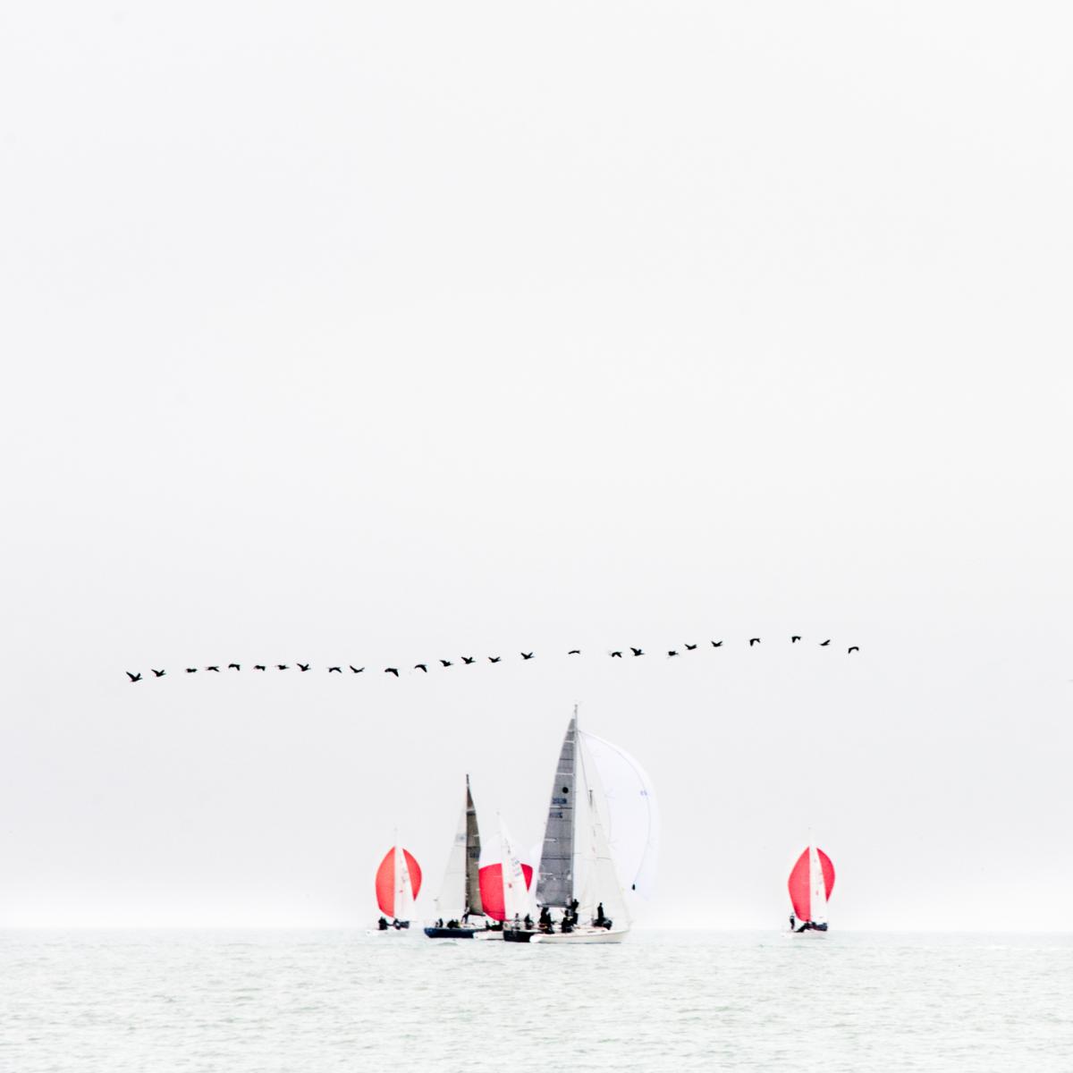 Windscapes XXXIV picture