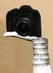 Ellen L Stark Eclectic Photographer
