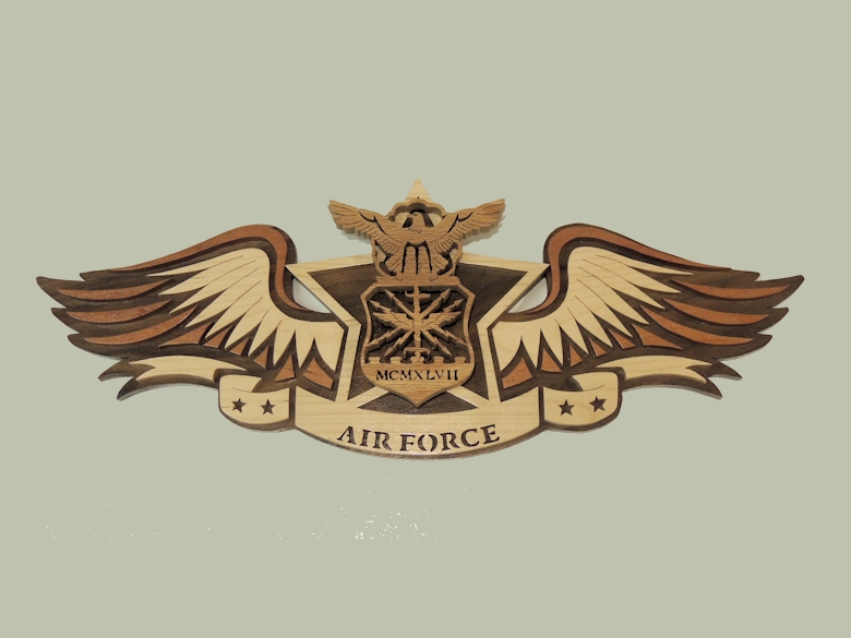 Special Wing - US Air Force