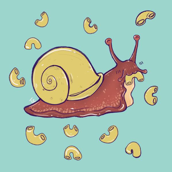 Macaroni Snail Art