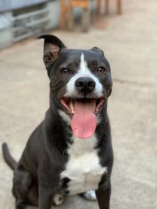 Mosbius Designs logo