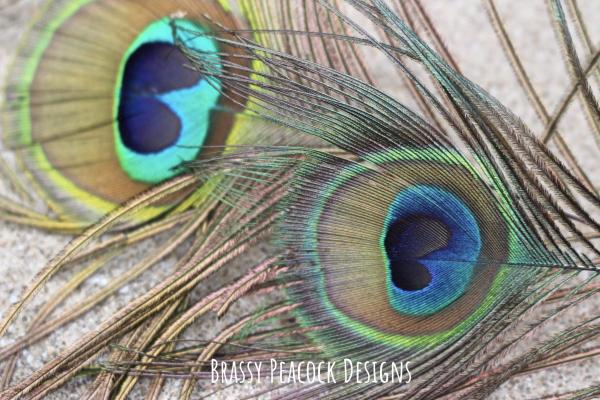 Brassy Peacock Designs
