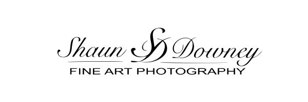 Shaun Downey Photography