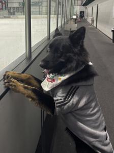 JUrso test llc. logo