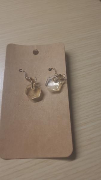 Small Hexagon Earrings