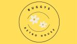 Buggys Retro House