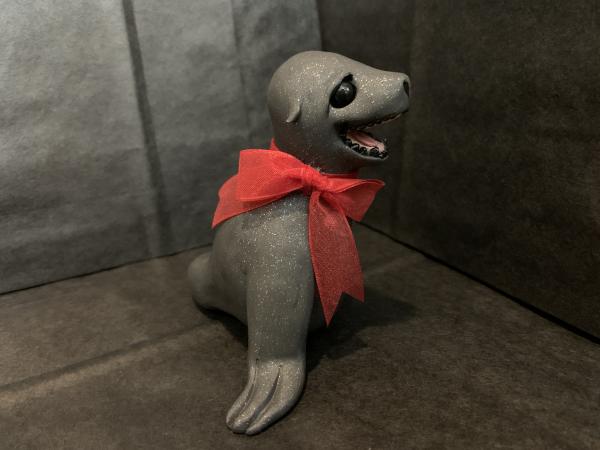 Christmas Seal (sea lion) picture