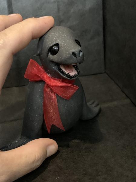 Christmas Seal (sea lion) picture