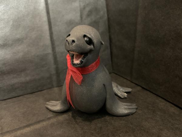 Christmas Seal (sea lion) picture
