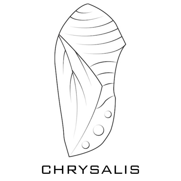 Chrysalis