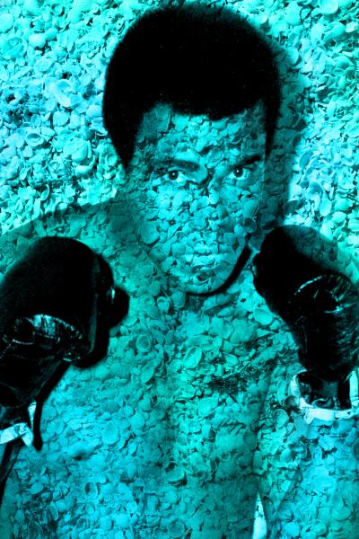 Muhammad Ali Portrait of Shells