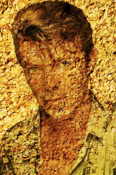 Bowie Portrait of Shells picture