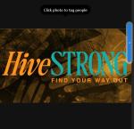 The HiveSTRONG Fund LTD
