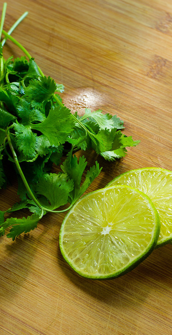 Lime Cilantro Dip Mix