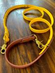 6ft Biothane convertible leash
