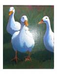 Linda Dudley (Shelton) - Three Quacks