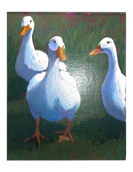 Linda Dudley (Shelton) - Three Quacks picture