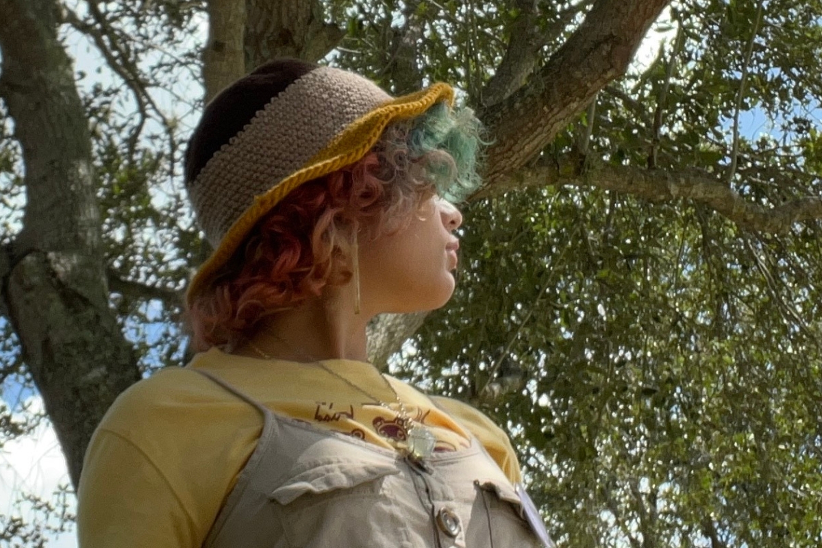 Esparza, Odalys - Tan striped bucket hat picture