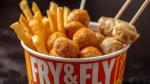 Fry & Fly