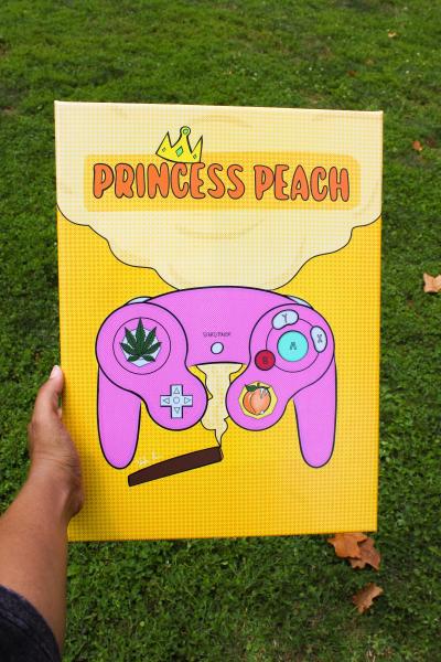 Princess Peach Gamer up Canvas Wall Art, Pink Game Controller Canvas Print, Gaming Room Decor, Cute Gamer Gift, Video Game Inspired Wall Art