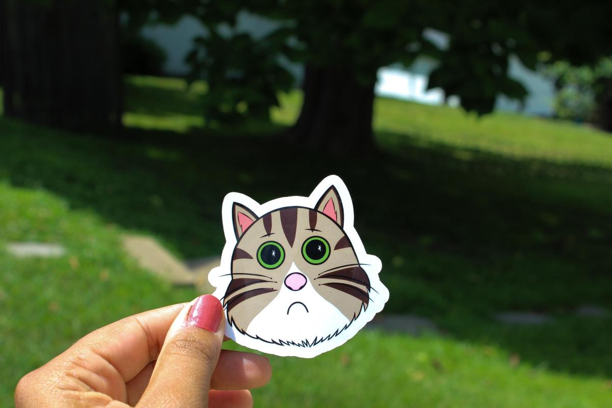 Sad Cat Sticker, Crying Cat Sticker, Cute Cat Meme Vinyl Sticker, Funny Kitty Decal, Waterproof Laptop Sticker, Cat Lover Gift picture