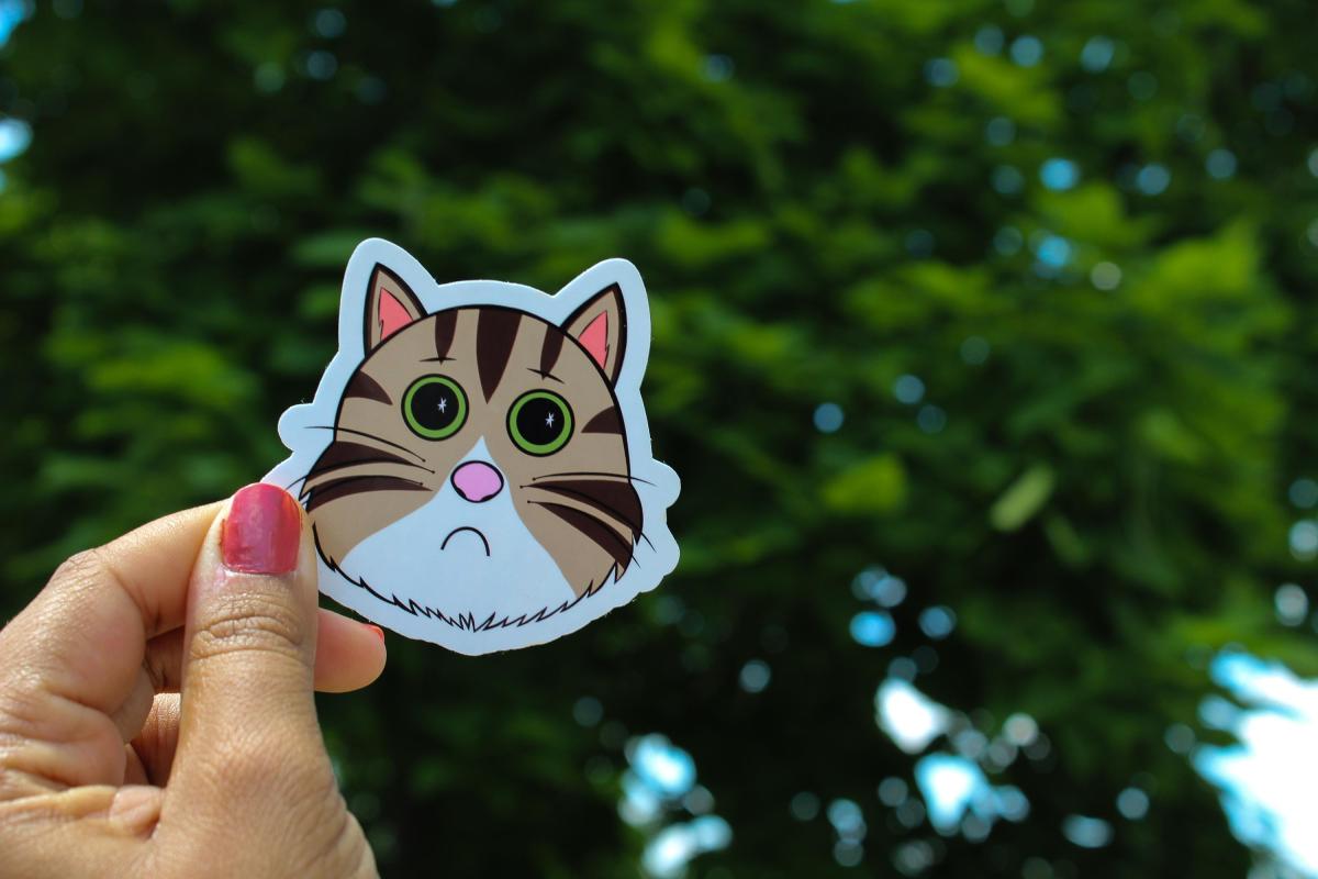 Sad Cat Sticker, Crying Cat Sticker, Cute Cat Meme Vinyl Sticker, Funny Kitty Decal, Waterproof Laptop Sticker, Cat Lover Gift picture