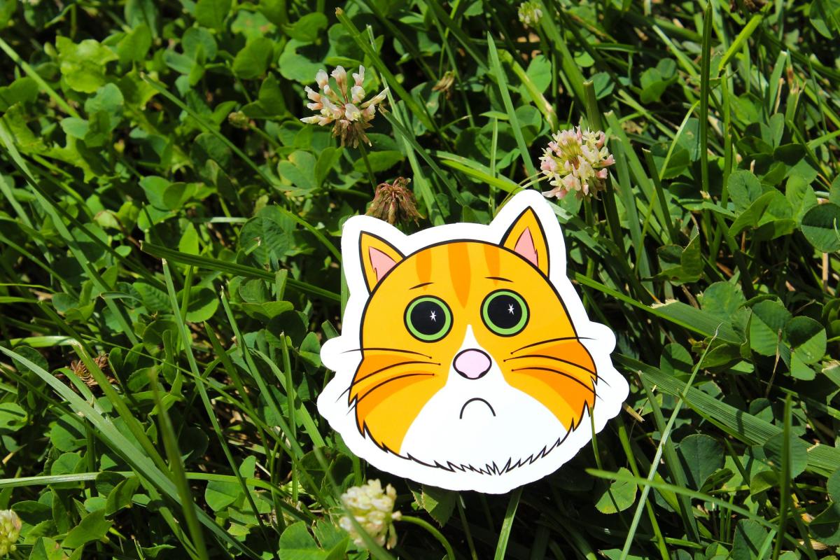 Orange Tabby Cat Sticker, Cute Orange Cat Vinyl Sticker, Funny Kitty Decal, Waterproof Laptop Sticker, Water Bottle Sticker, Cat Lover Gift picture