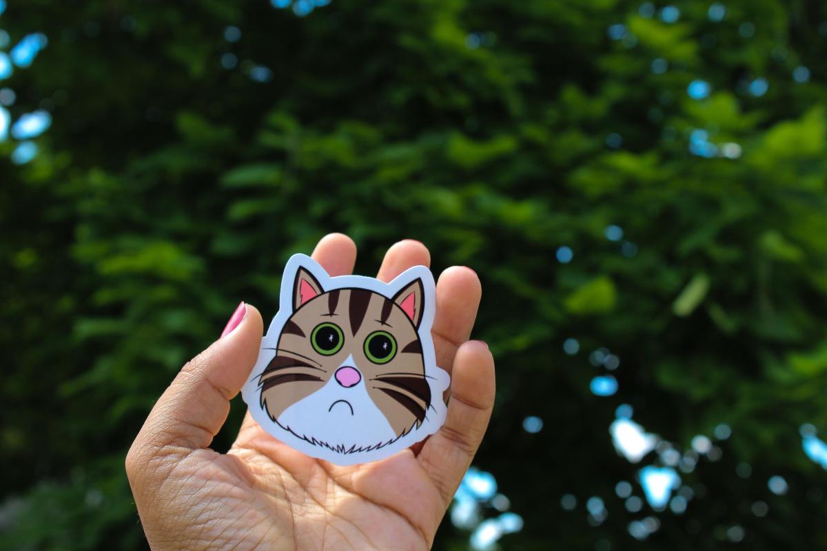 Sad Cat Sticker, Crying Cat Sticker, Cute Cat Meme Vinyl Sticker, Funny Kitty Decal, Waterproof Laptop Sticker, Cat Lover Gift picture