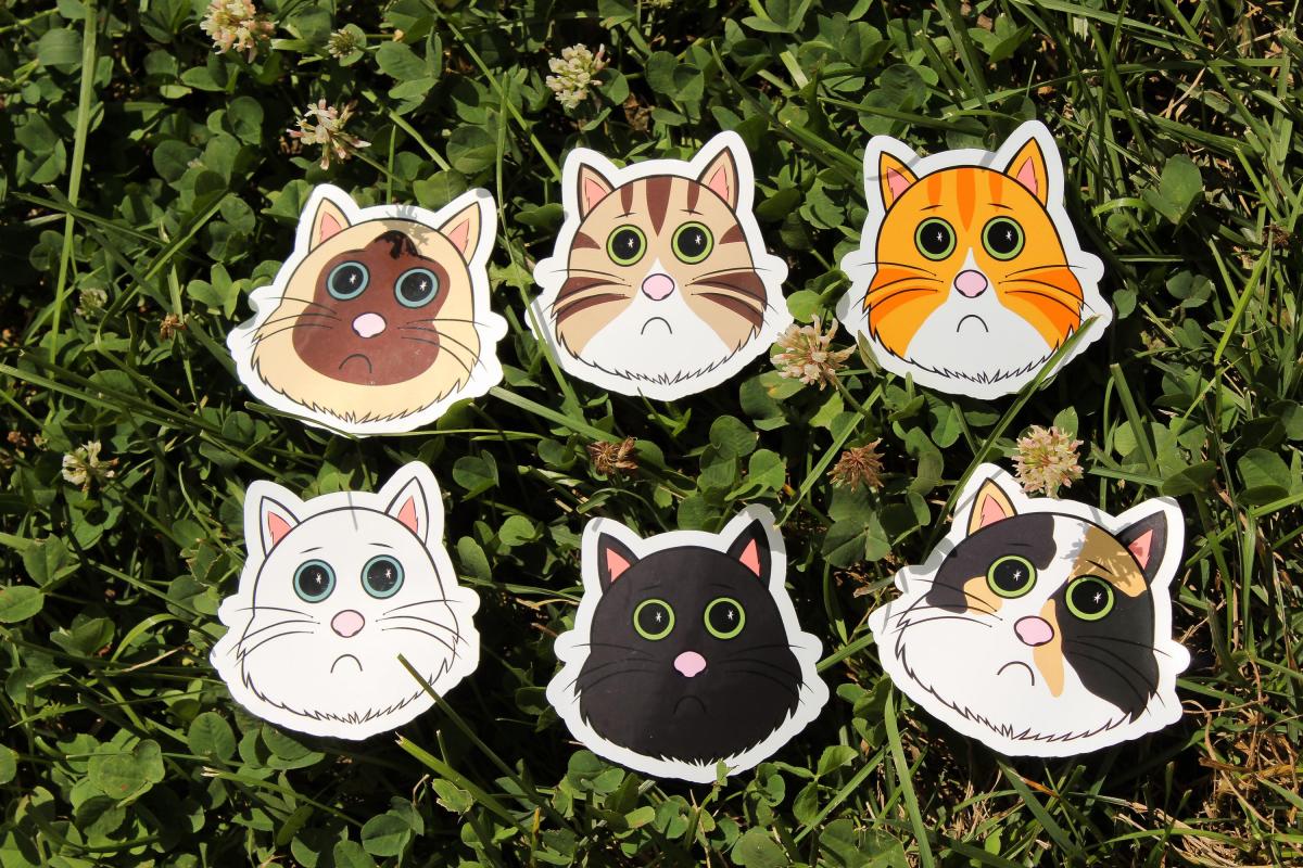 Adopt a Cat Sticker Bundle, 6 Cute Cat Vinyl Stickers, Kawaii Kitty Sticker Pack, Waterproof Laptop Stickers, Cat Lover Gift, Original Art picture