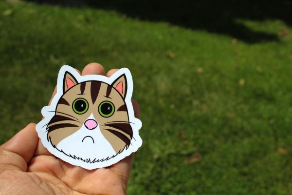 Sad Cat Sticker, Crying Cat Sticker, Cute Cat Meme Vinyl Sticker, Funny Kitty Decal, Waterproof Laptop Sticker, Cat Lover Gift