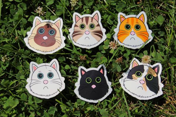 Adopt a Cat Sticker Bundle, 6 Cute Cat Vinyl Stickers, Kawaii Kitty Sticker Pack, Waterproof Laptop Stickers, Cat Lover Gift, Original Art