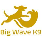 Big Wave K9