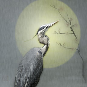 Blue Heron #1 Renewal