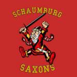 Schaumburg High School Sizzlers Dance Team