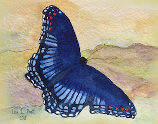 Butterflies watercolor/framed picture