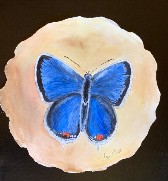 Butterflies watercolor/framed picture