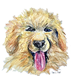 Original Watercolors Pets picture