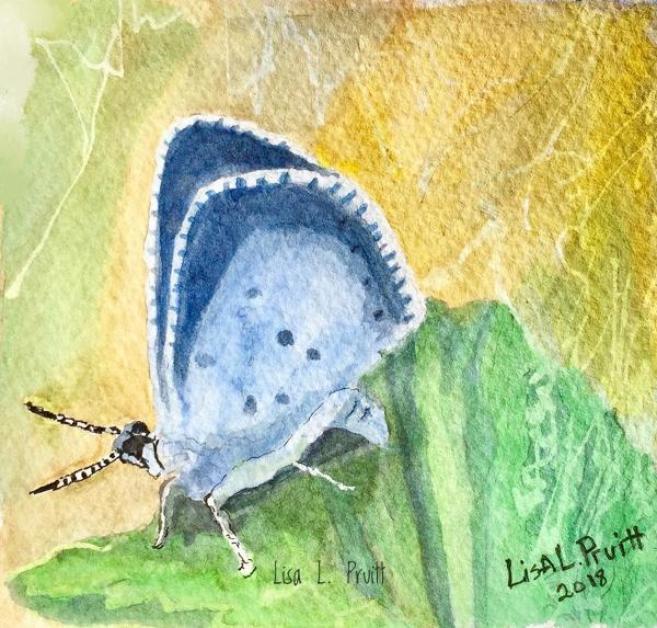 Butterflies watercolor/framed picture