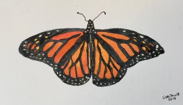 Butterflies watercolor/framed picture